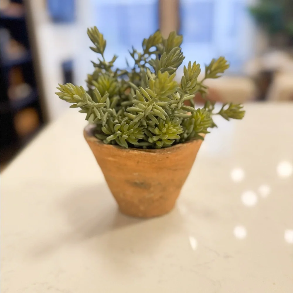 Crate Barrel Faux Greenery Sprigs (2) NWT